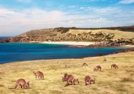 Kangaroo Island