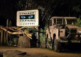Night Safari