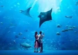 S.E.A. Aquarium