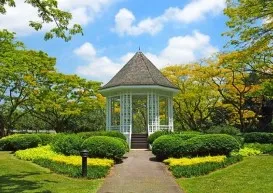 Singapore Botanic Gardens