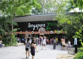 Singapore Zoo
